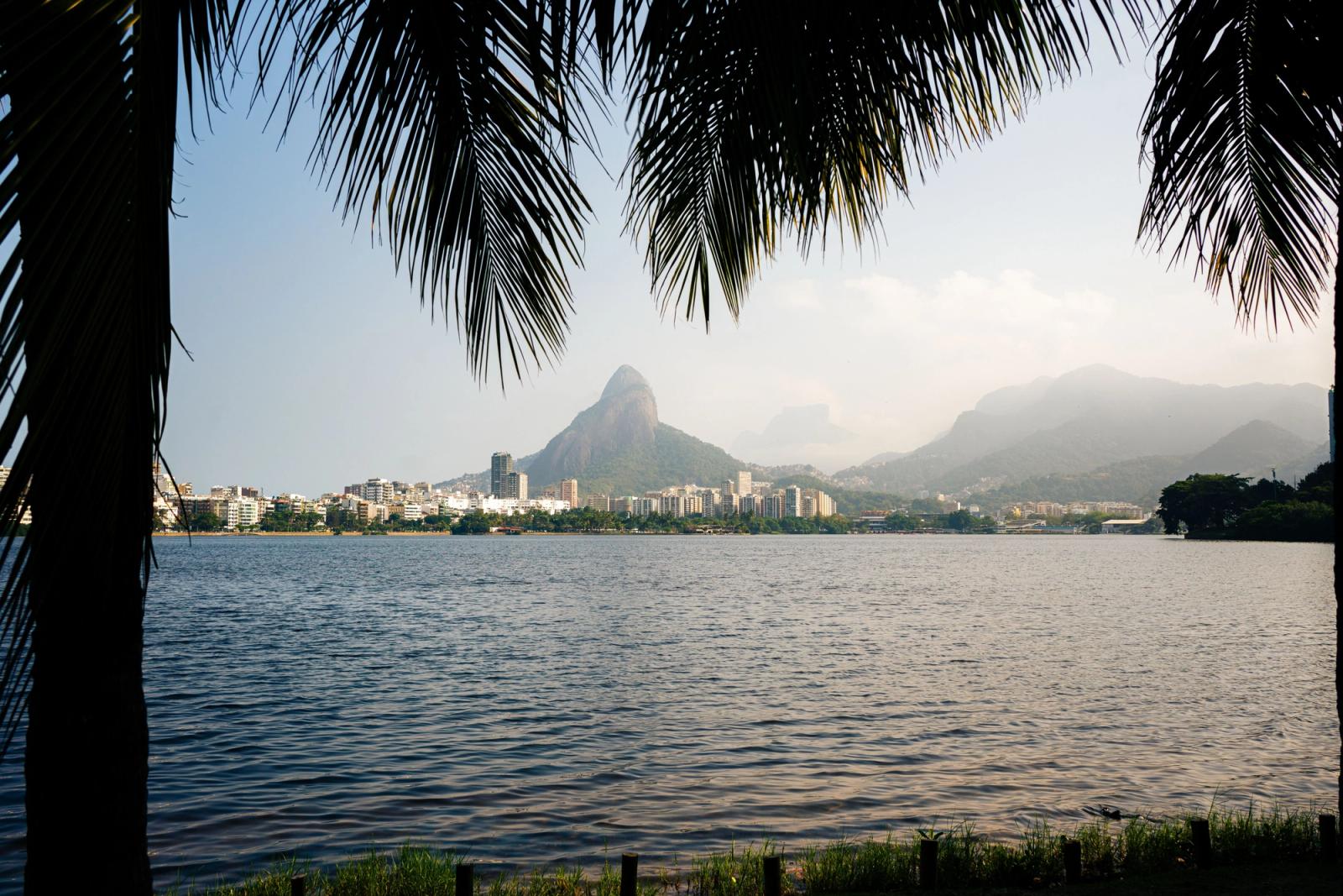 Panoramic view of Pedra da Gávea framed by palm trees in Rio de Janeiro, Brazil