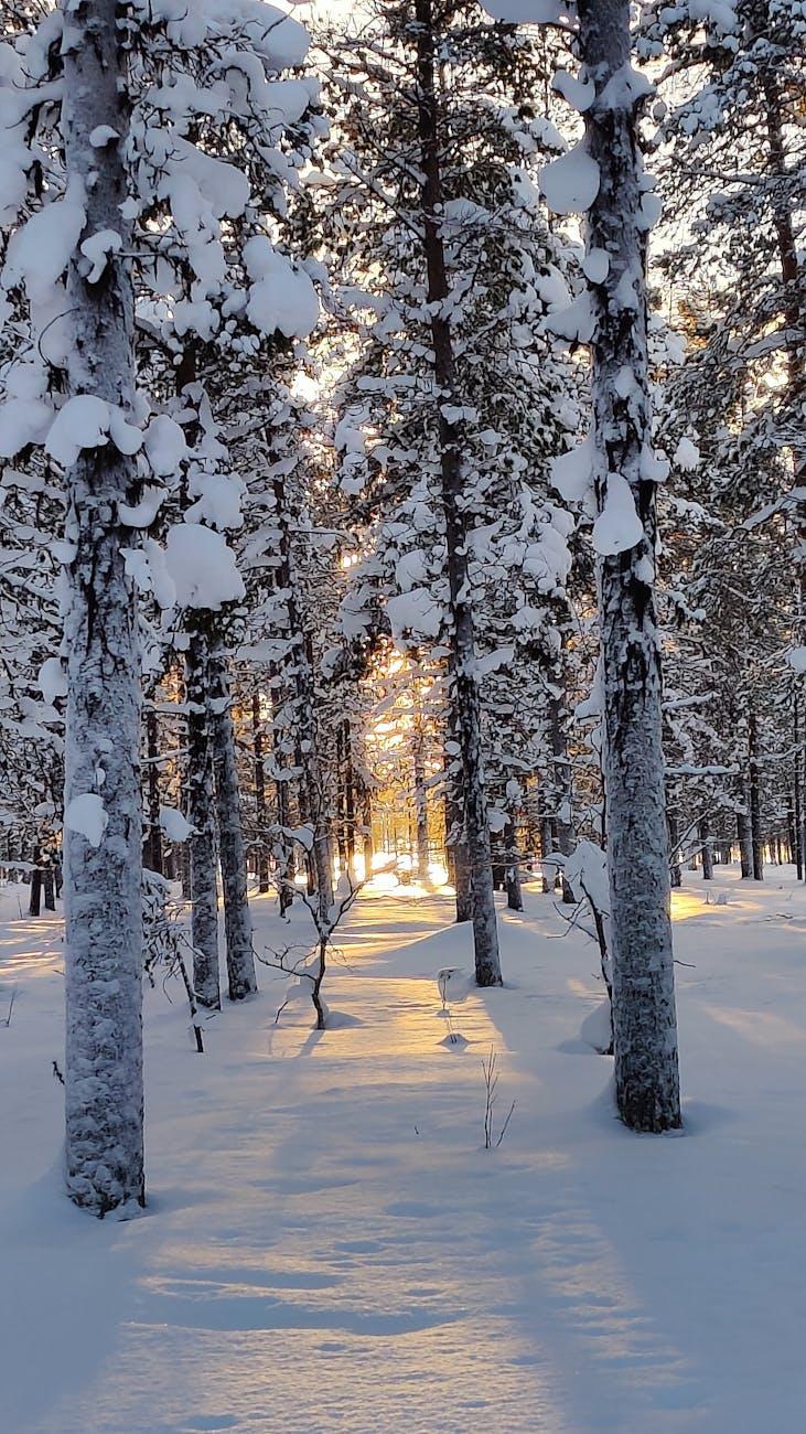 Helsinki Ivalo Inari — Finland