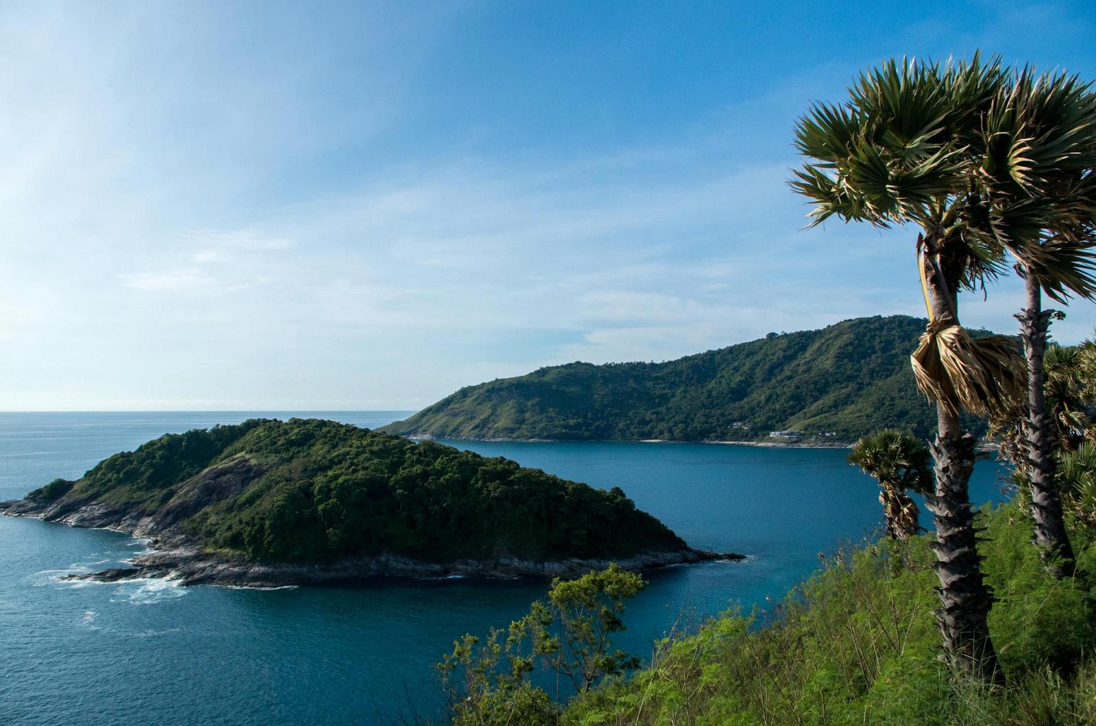 A coastal headland and small island seen past a spiky palm frond