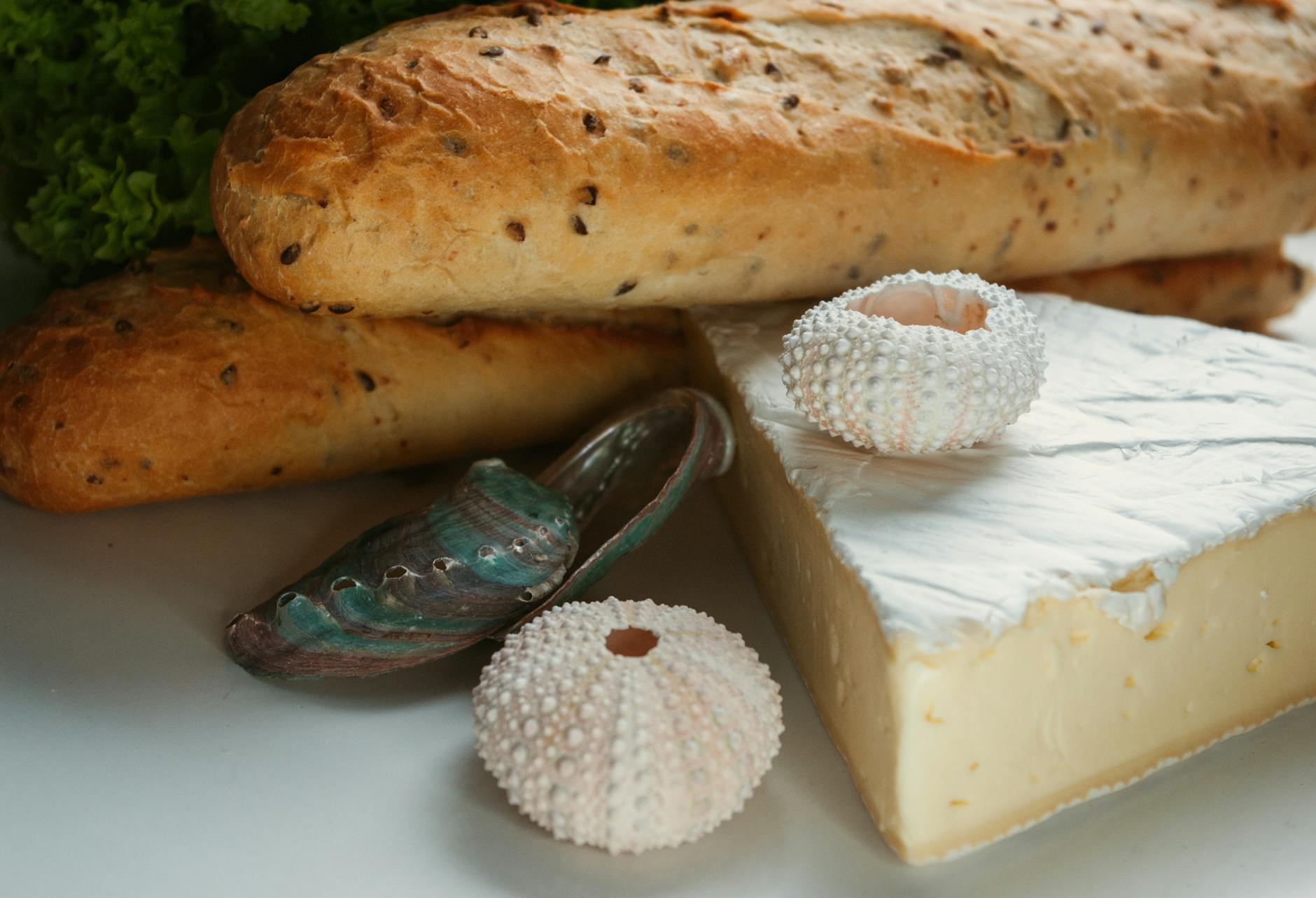 Traditional food of Australia + New Zealand