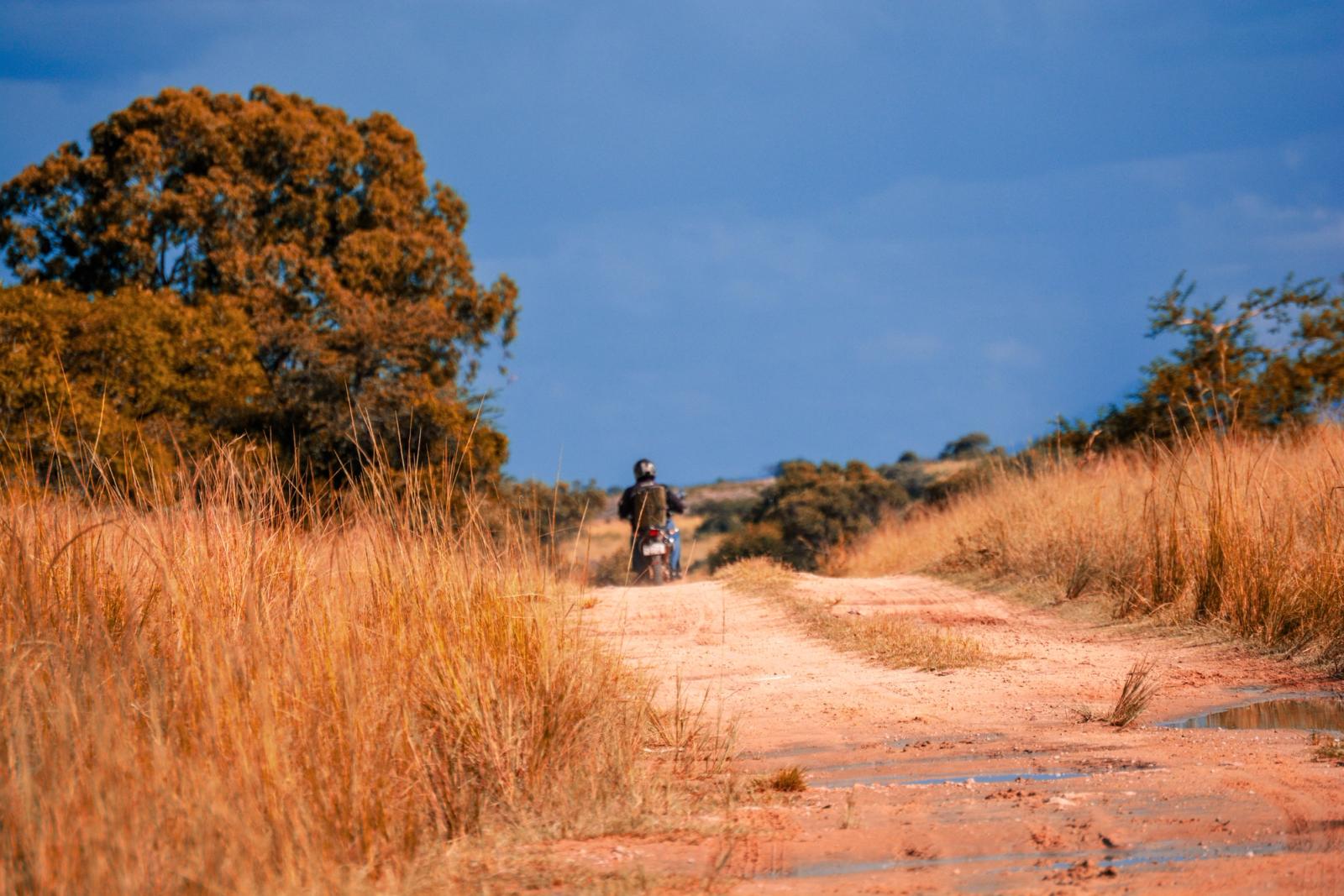 A lone motorcyclist rides along a scenic dirt road amidst tall grass in rural Zimbabwe