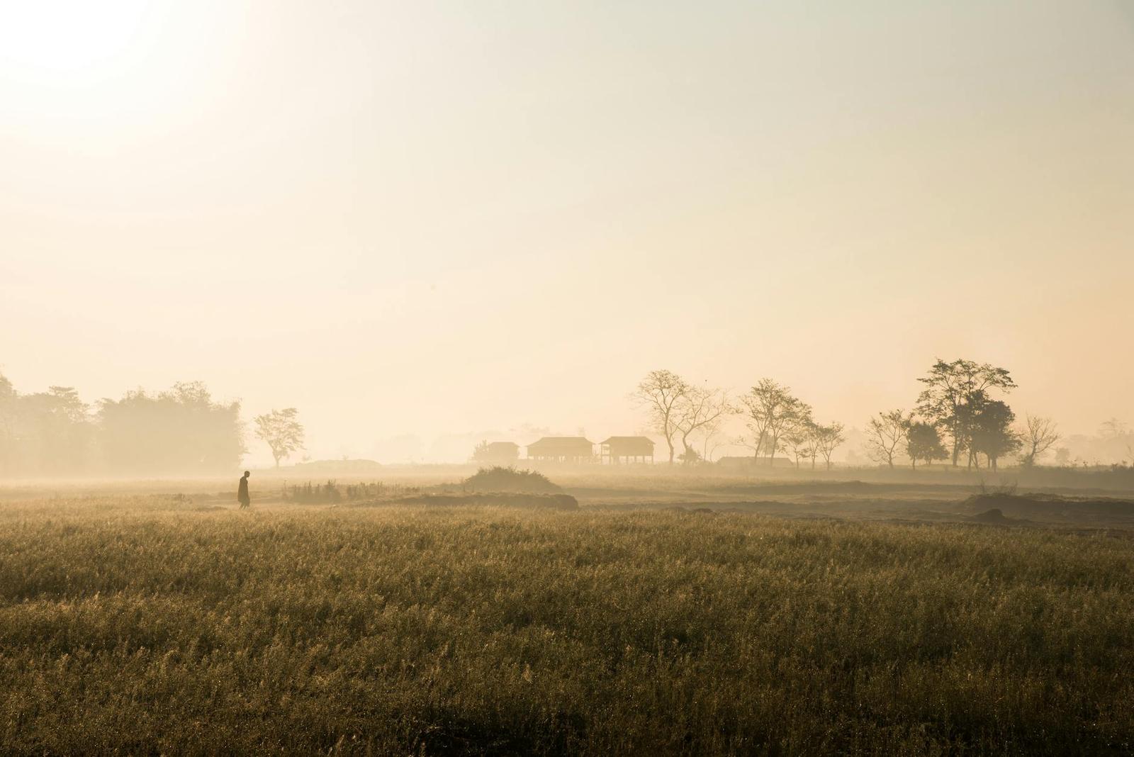 Peaceful sunrise view of a rural field in North Lakhimpur with a misty atmosphere