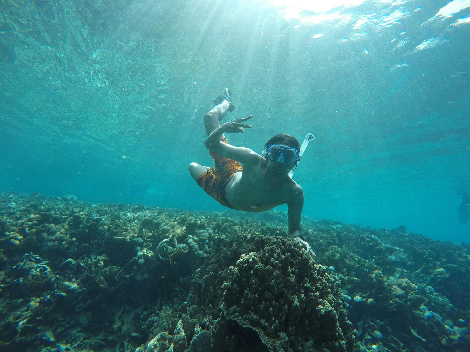 A snorkeler dives over a coral reef with sunlight streaming through the water