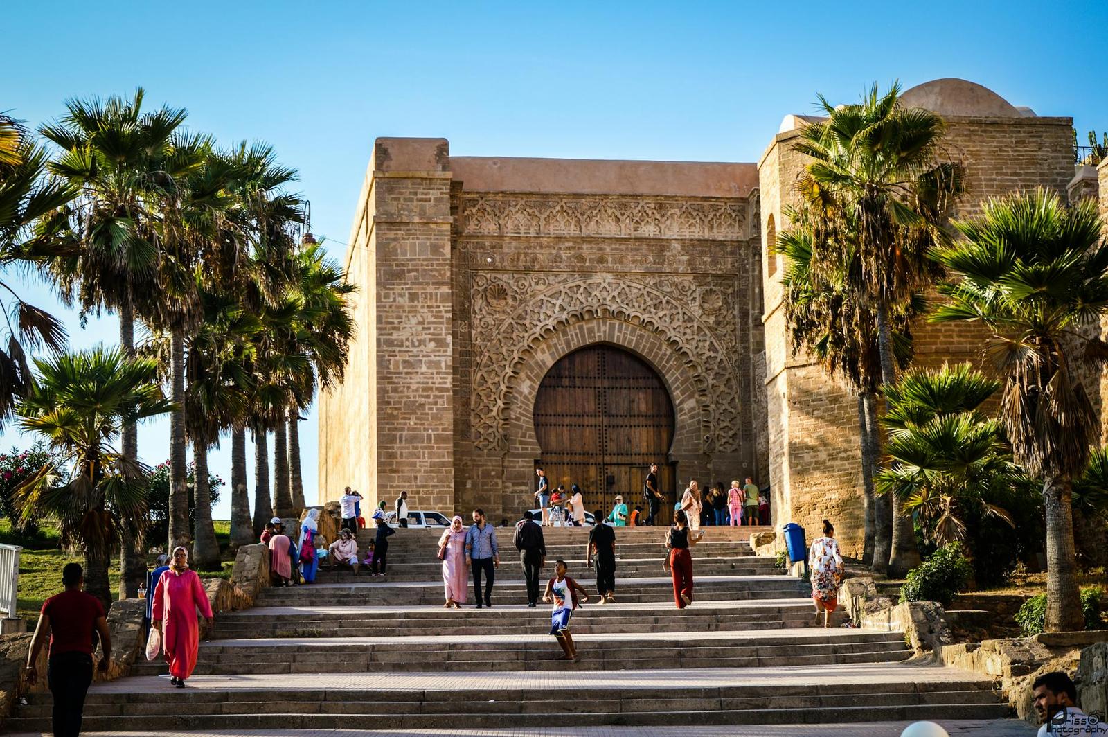 Visitors climbing wide steps to a carved stone gateway flanked by palm trees
