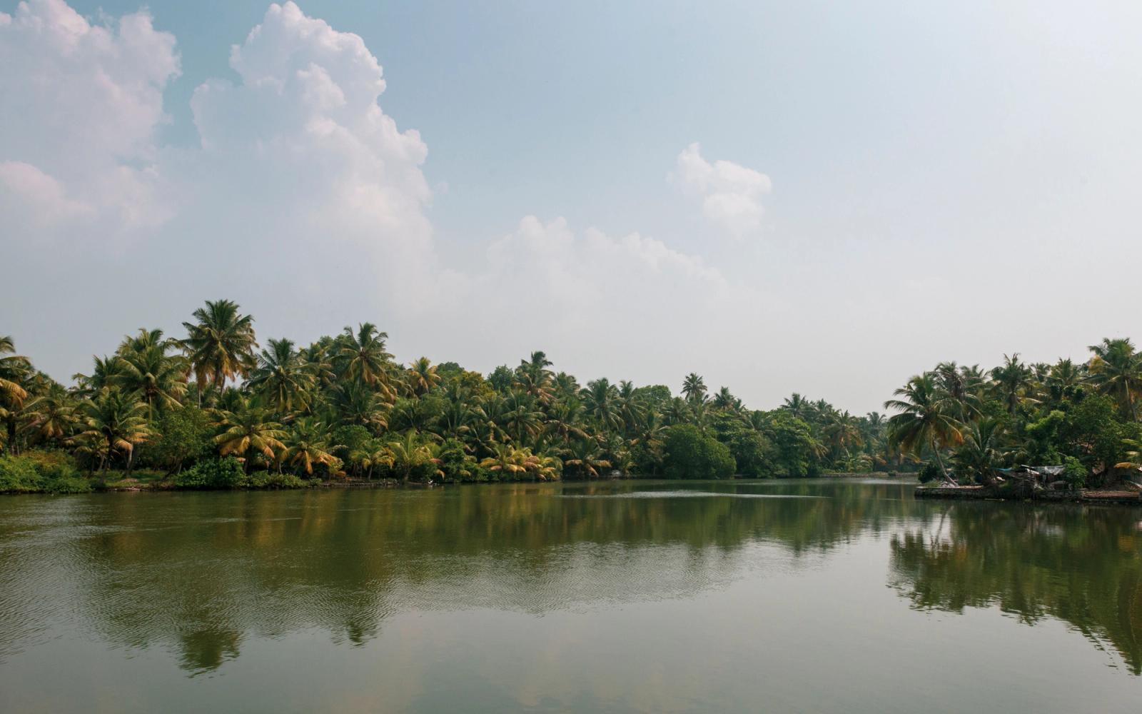 Peaceful tropical lake surrounded by lush palm trees reflecting on the water under a clear sky