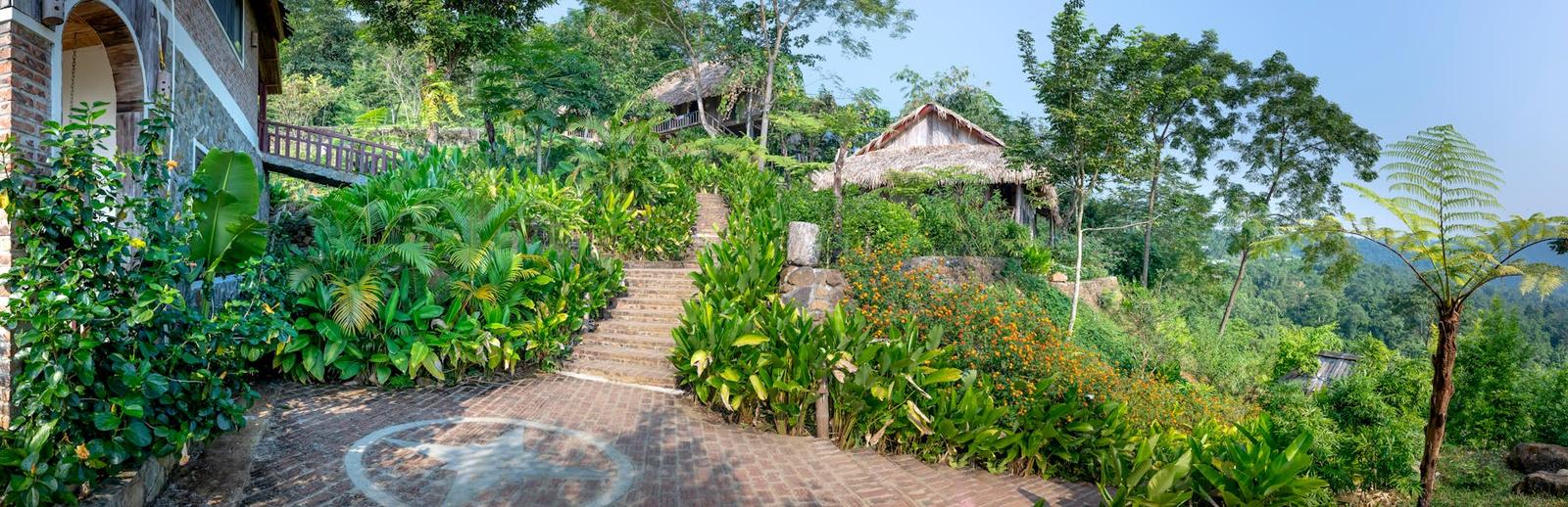 Stone garden path winding past cottages amid tropical greenery