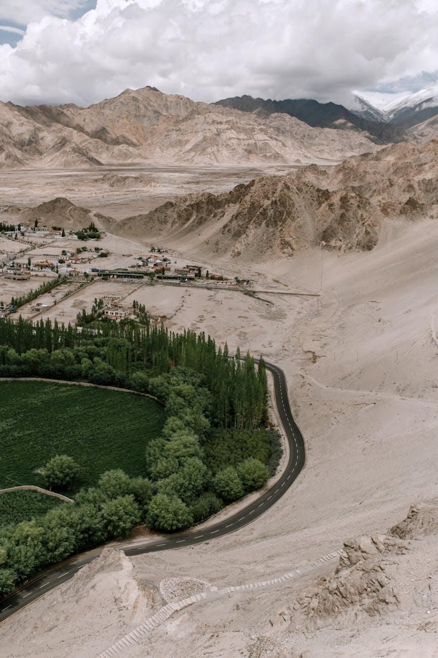 Aerial view of a poplar-lined river bend winding through a barren mountain valley
