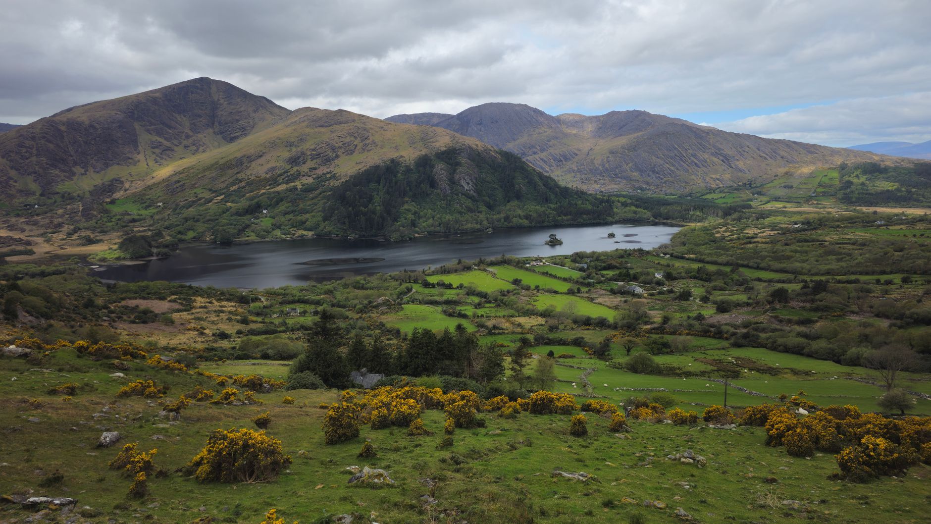 Ring on day 4, Ireland