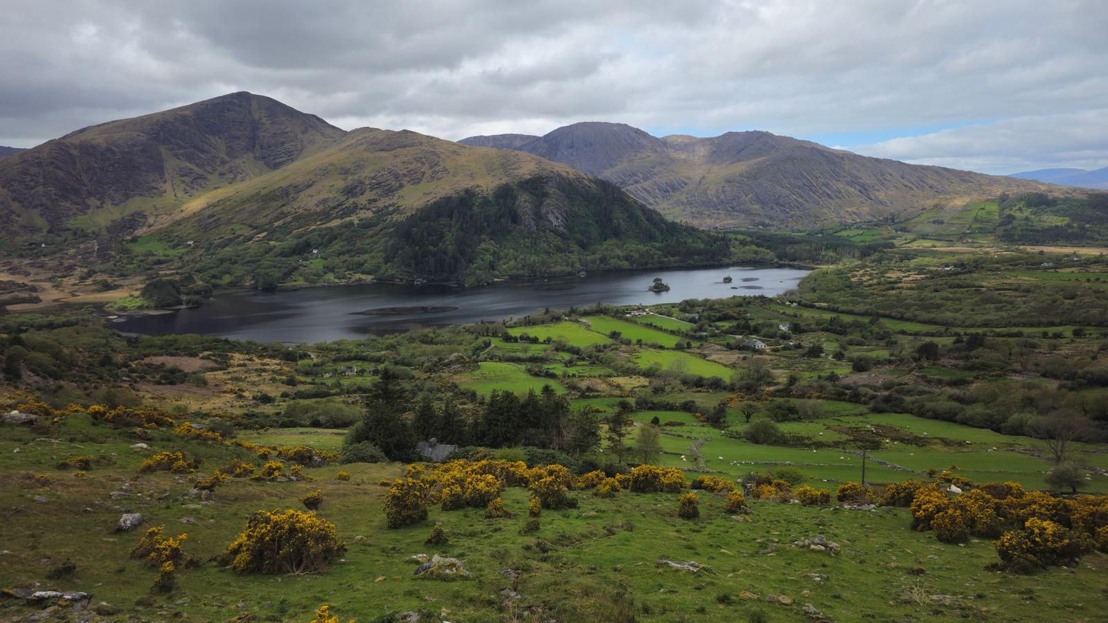Ring on day 4, Ireland