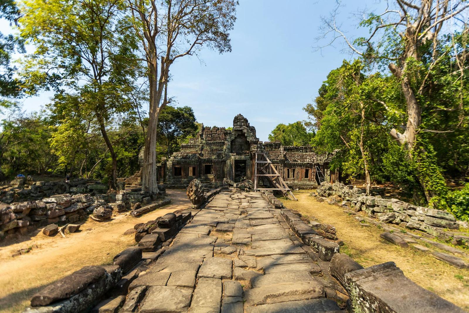 A stone causeway leading to weathered temple ruins shaded by tall trees