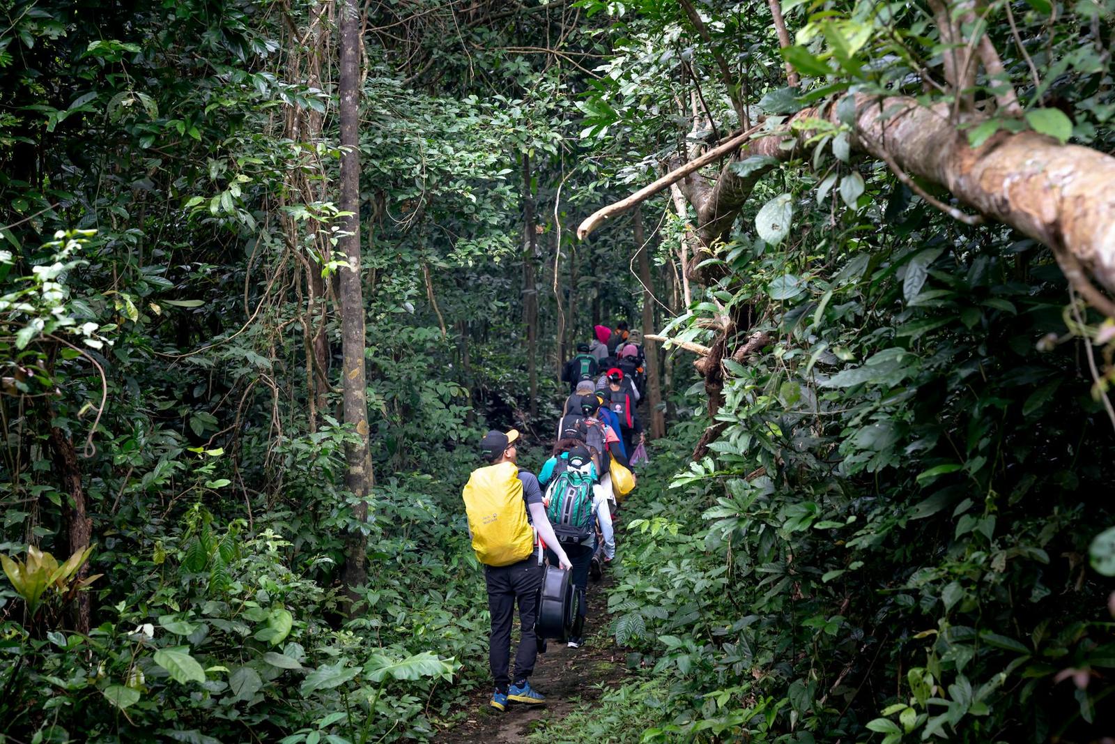 second trek — Bwindi, Uganda