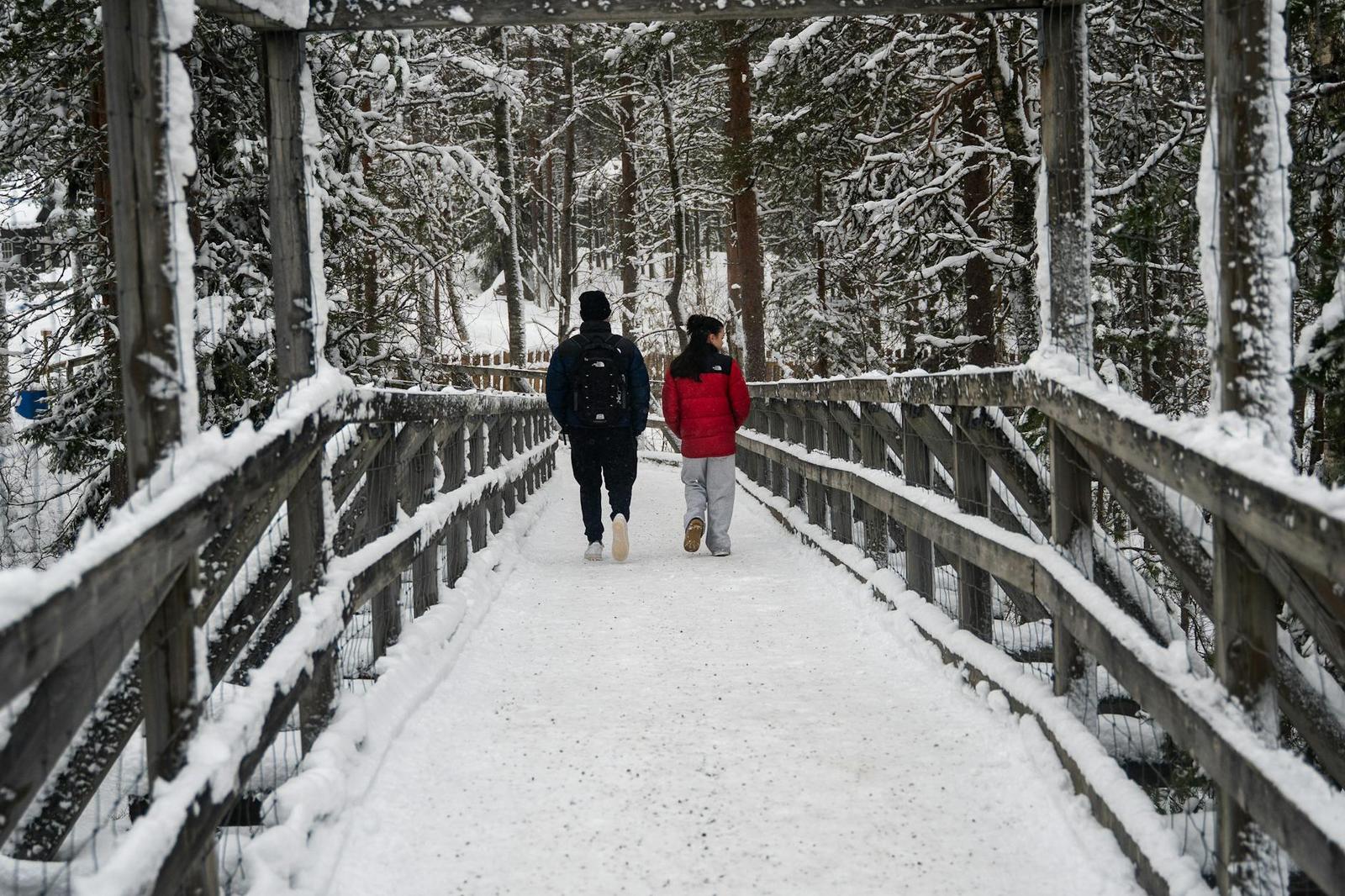 Two people walking away across a snow-covered wooden footbridge through a forest