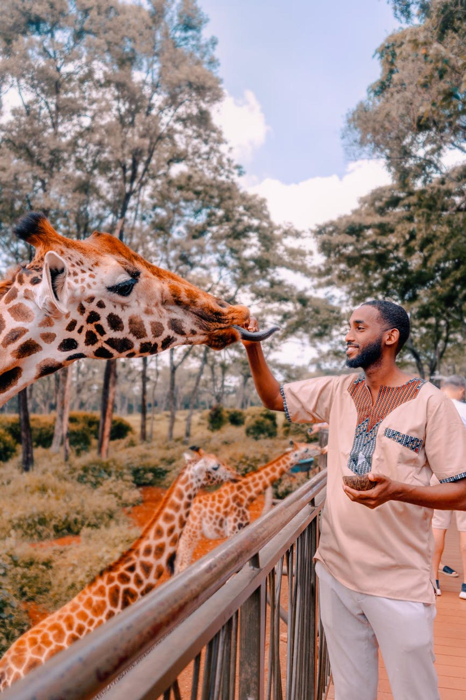 Amboseli Nairobi Giraffe Centre — Kenya