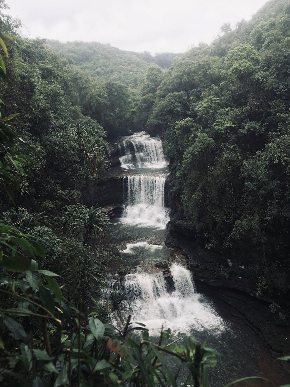 Majestic waterfall cascading through lush jungle foliage in Cherrapunjee, India