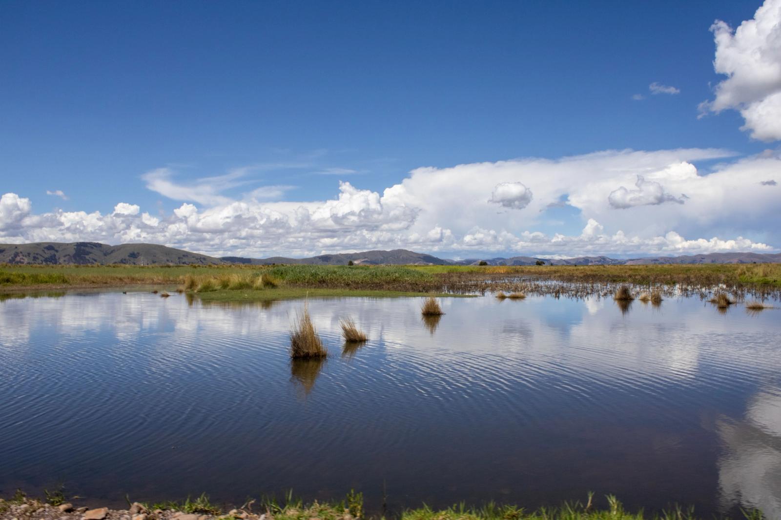 Beautiful landscape in Puno, Peru featuring a calm river and fluffy clouds under a bright blue sky