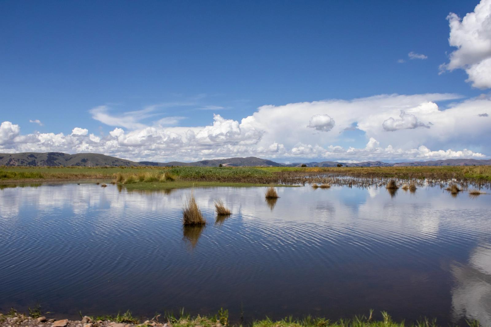 Beautiful landscape in Puno, Peru featuring a calm river and fluffy clouds under a bright blue sky