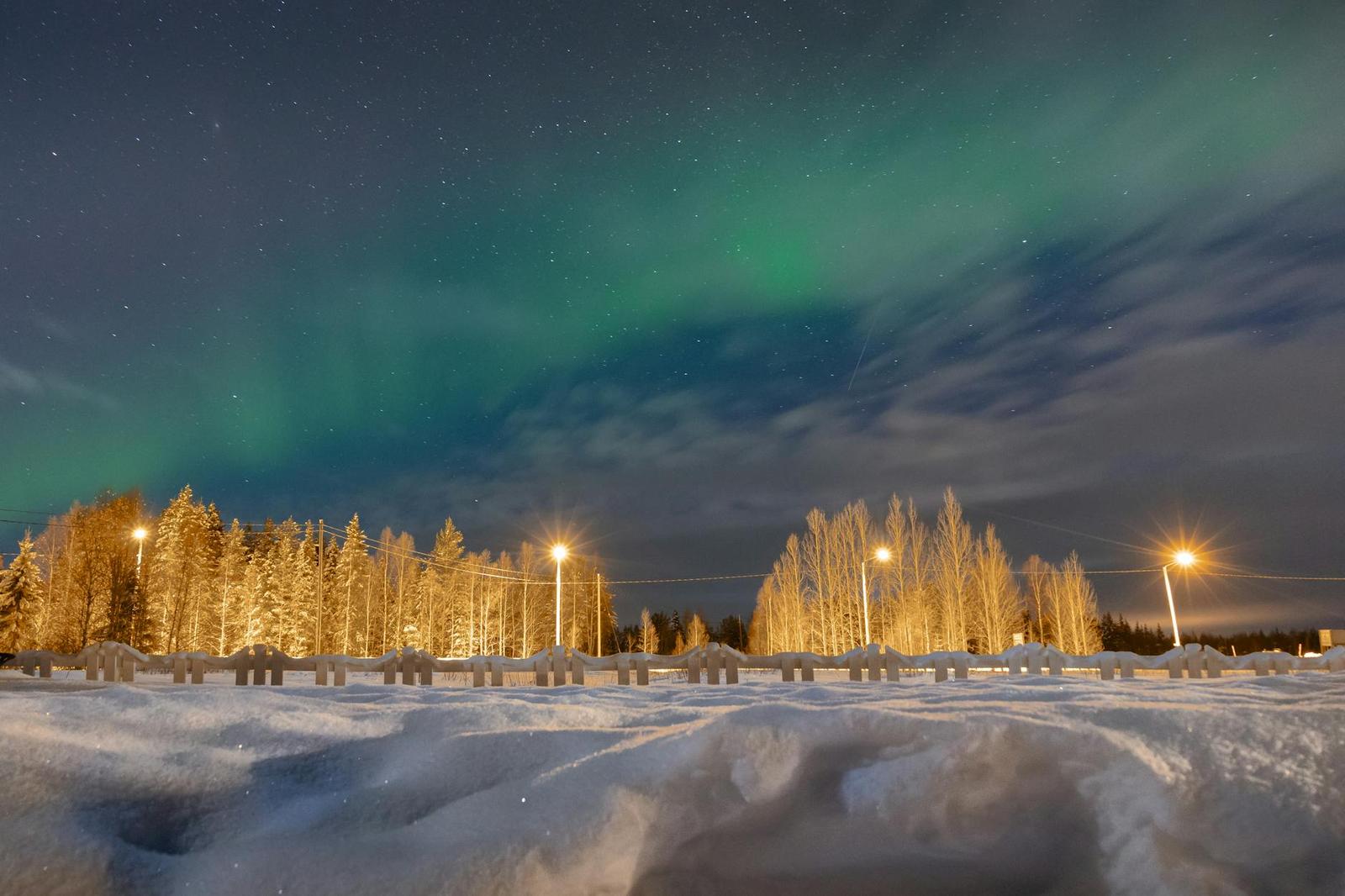 Aurora glowing green above frost-lit trees and a parking area