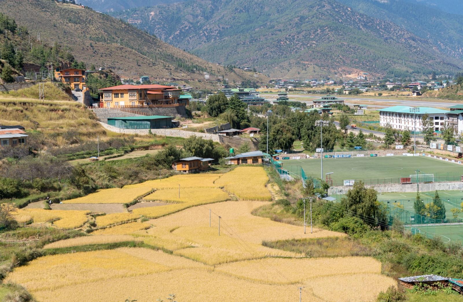 Aerial view of golden harvest fields beside a valley town and sports ground