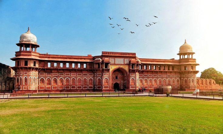 Agra Fort, then a game drive at Ranthambore · Agra → Ranthambore → Jaipur