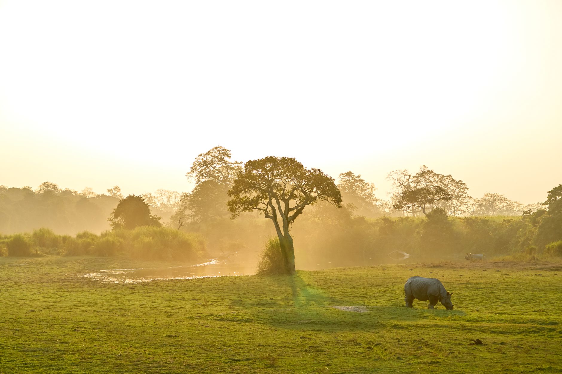India at golden hour