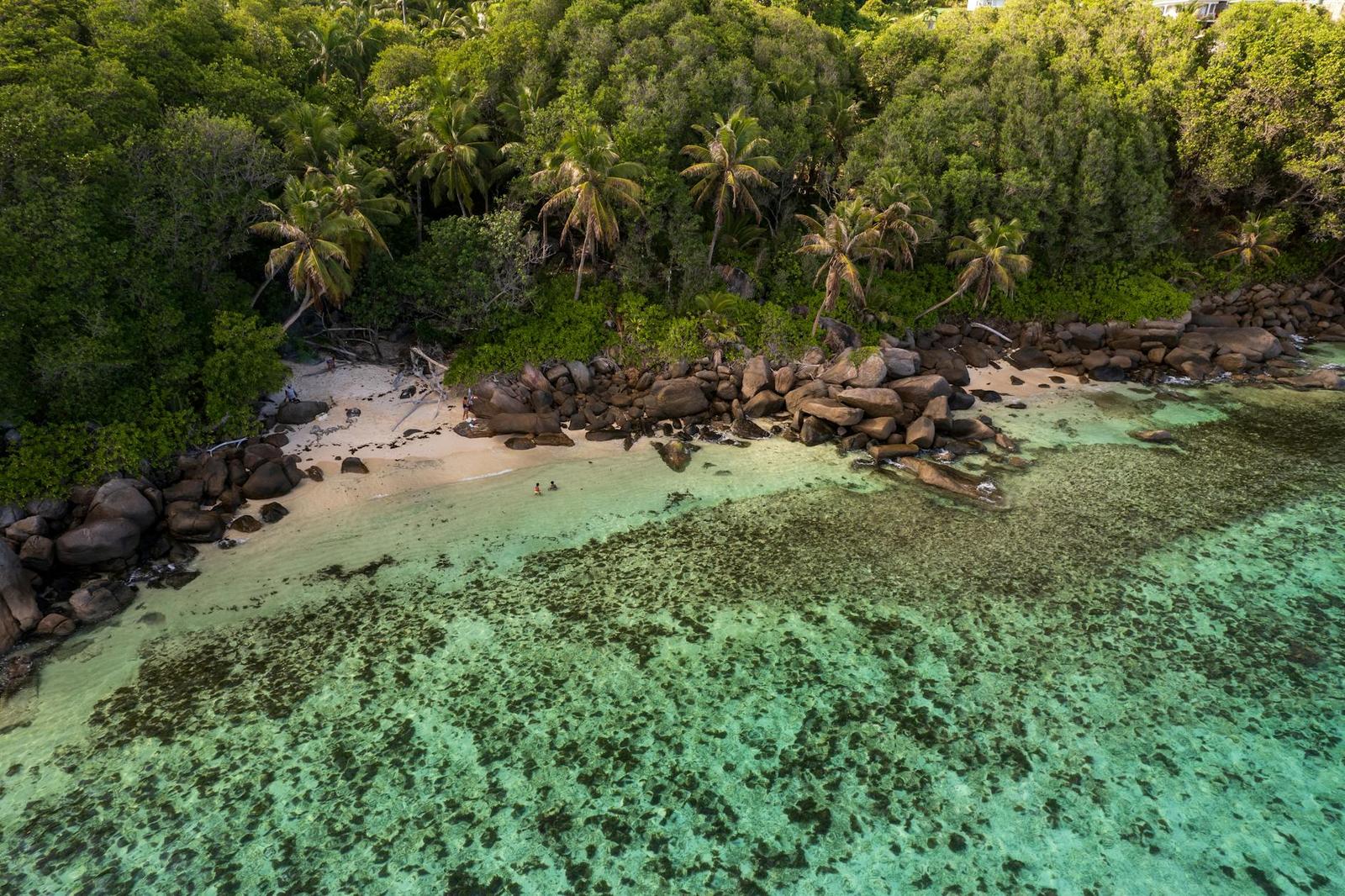 St. Anne Reef Safari, Seychelles
