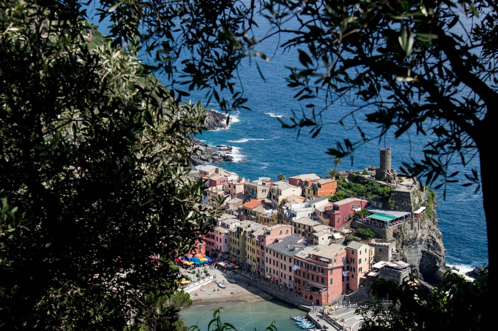 A pastel cliffside fishing village overlooking the sea framed by olive branches