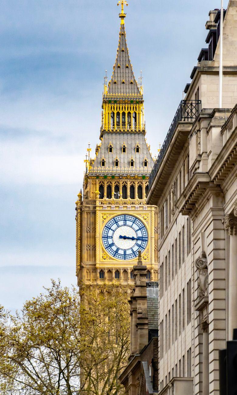 Gothic clock tower with golden clock face rising above a street