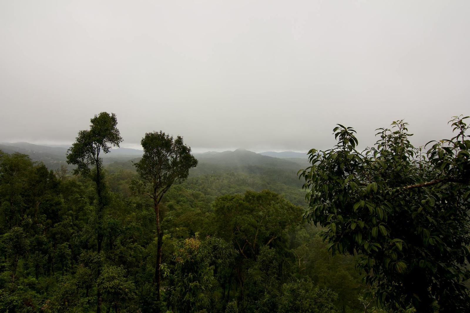 Coorg Coffee Trails, India