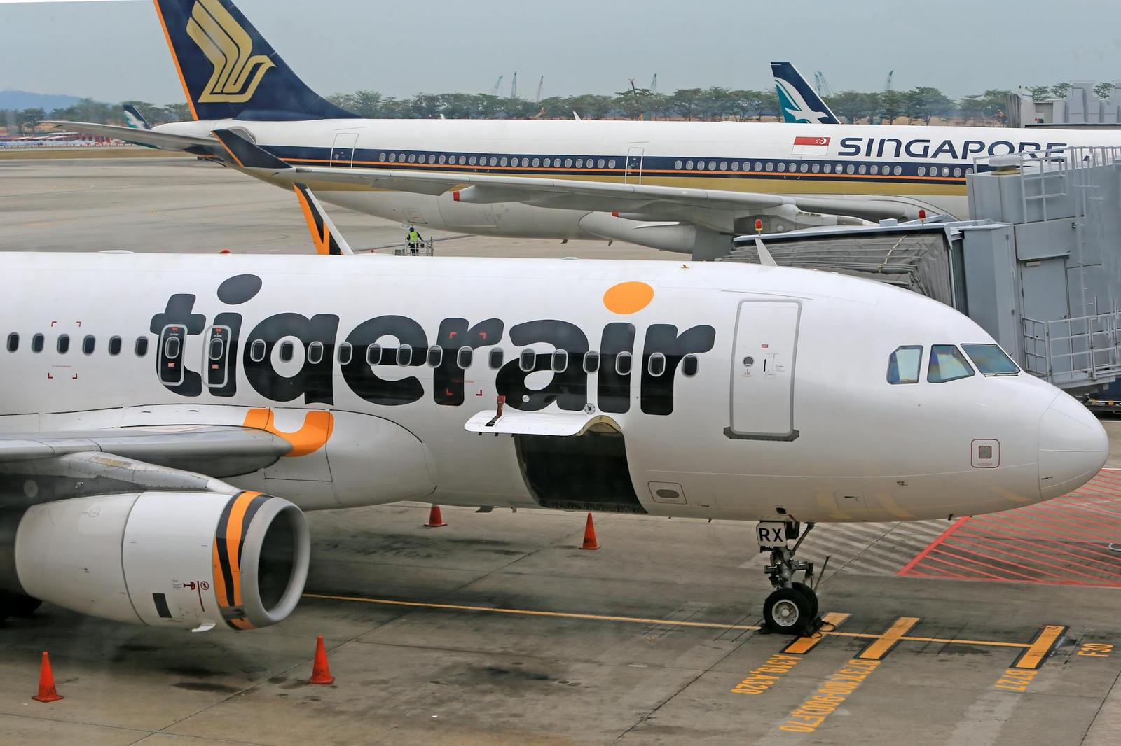A Tigerair jet parked at an airport gate with other aircraft behind it