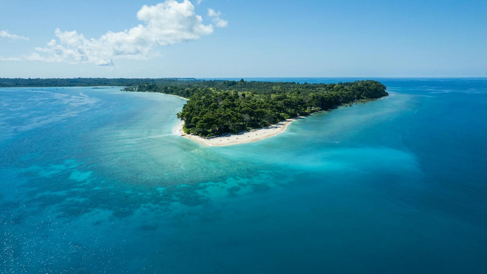 Aerial view of a forested island fringed by a white sand beach and turquoise reef
