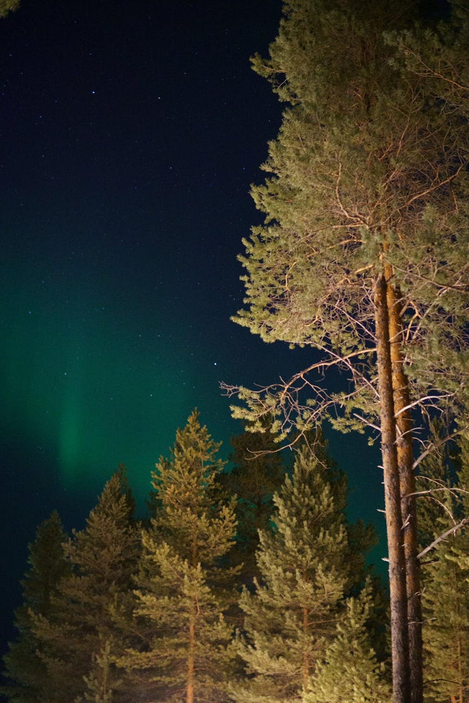 Aurora hunting Inari — Finland