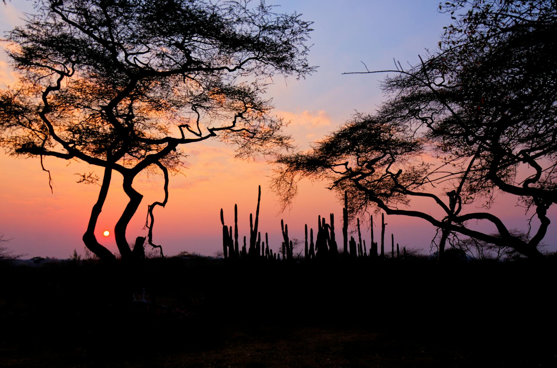Zimbabwe at golden hour