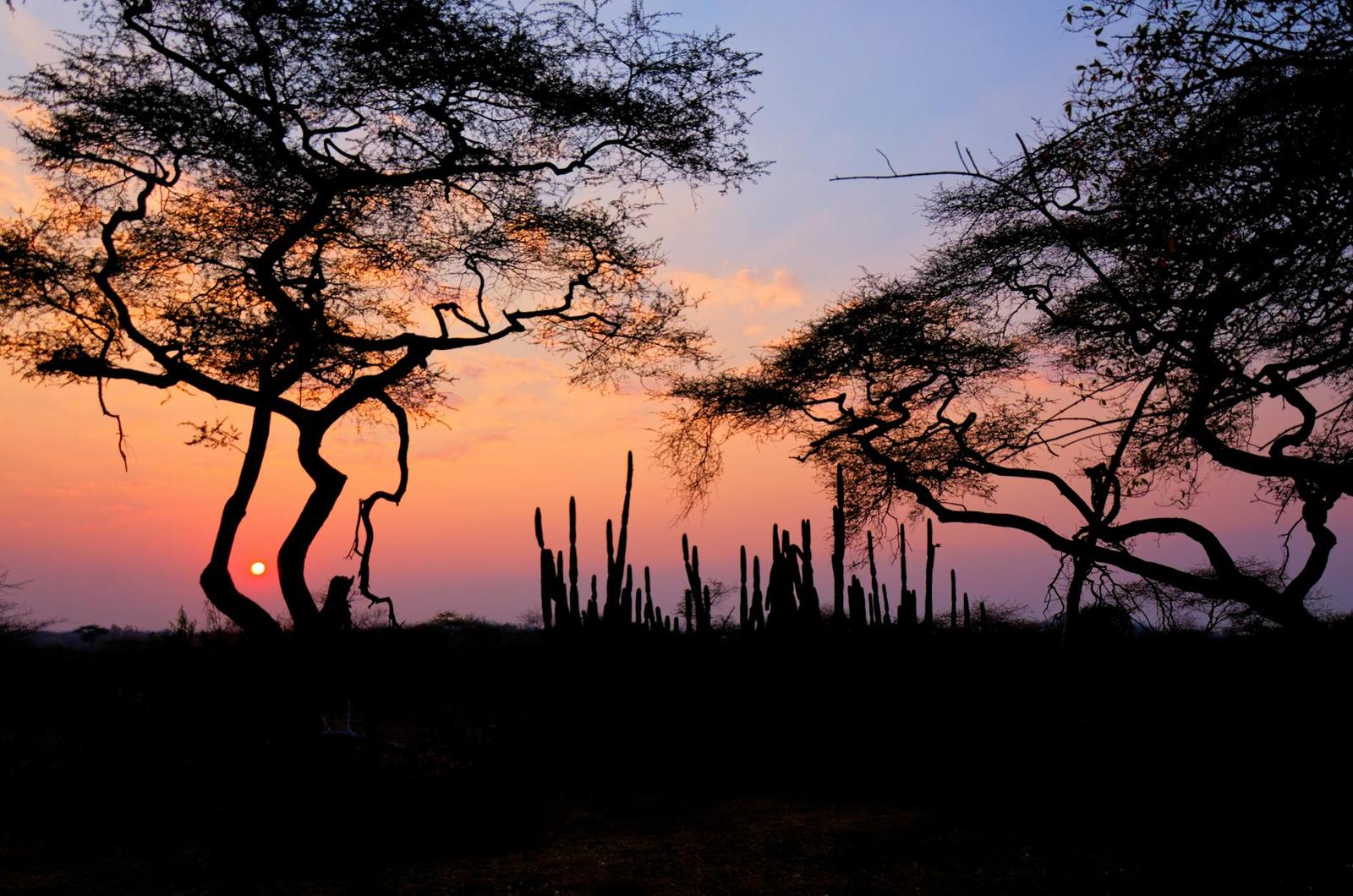 Zimbabwe: Victoria Falls + Chobe Safari