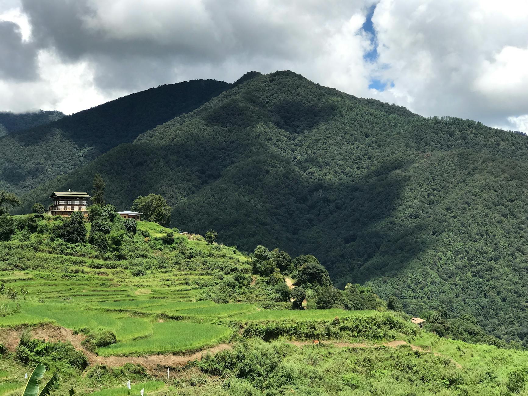 Chimi Lhakhang — Punakha, Bhutan