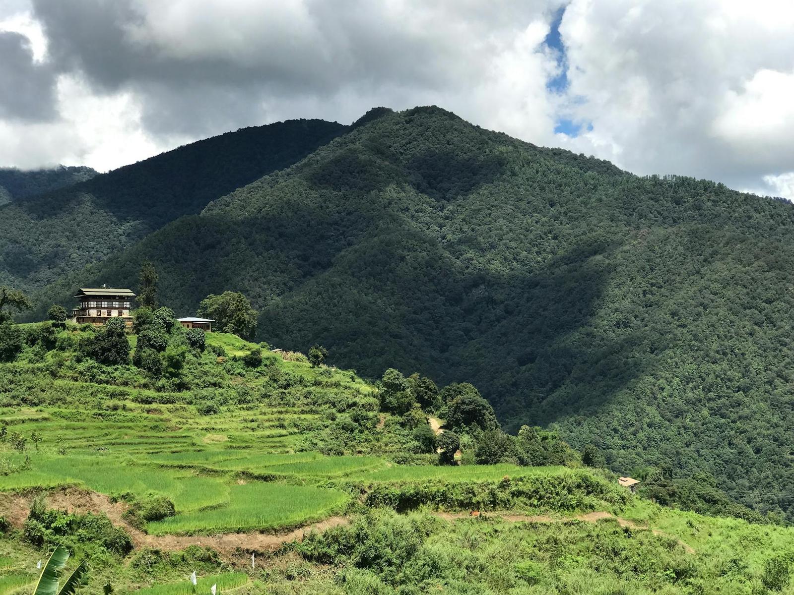 Punakha on day 4, Bhutan