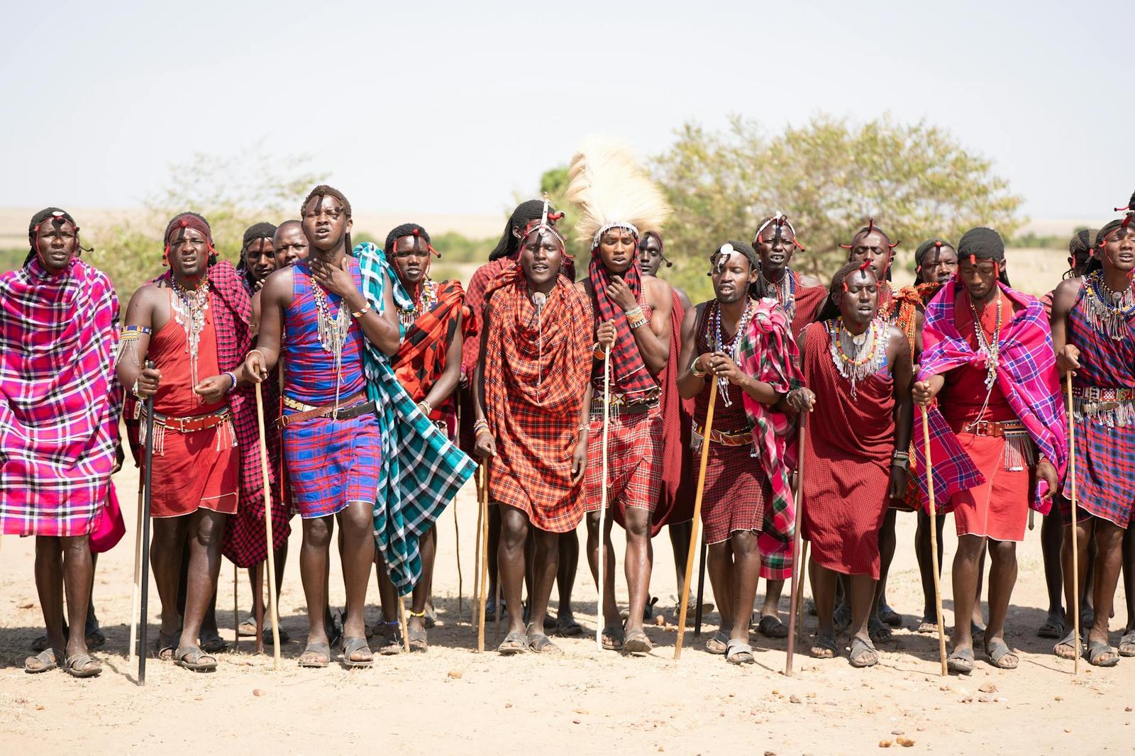 A line of Maasai warriors in red plaid holding wooden sticks
