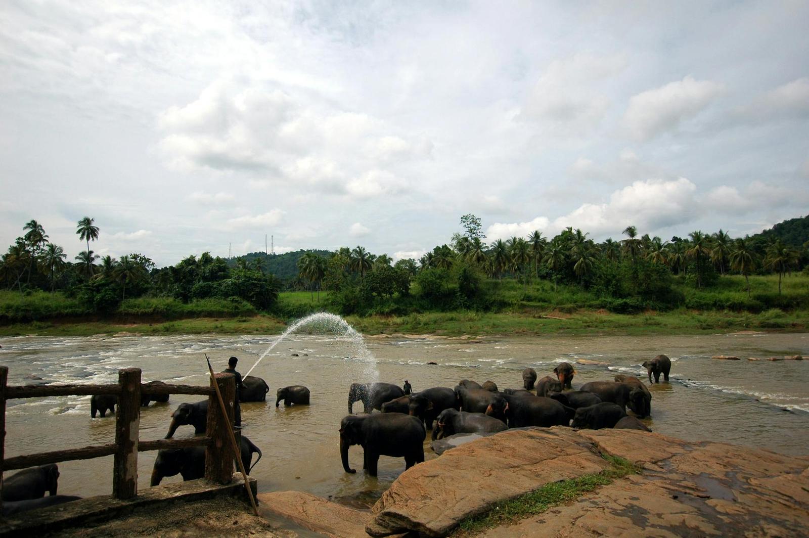 Pinnawala & Spice Garden, Sri Lanka