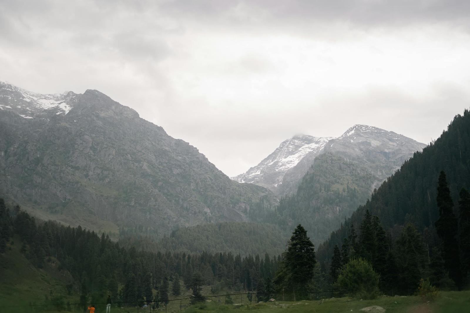 Snow-dusted peaks rise above a pine forested valley under grey sky