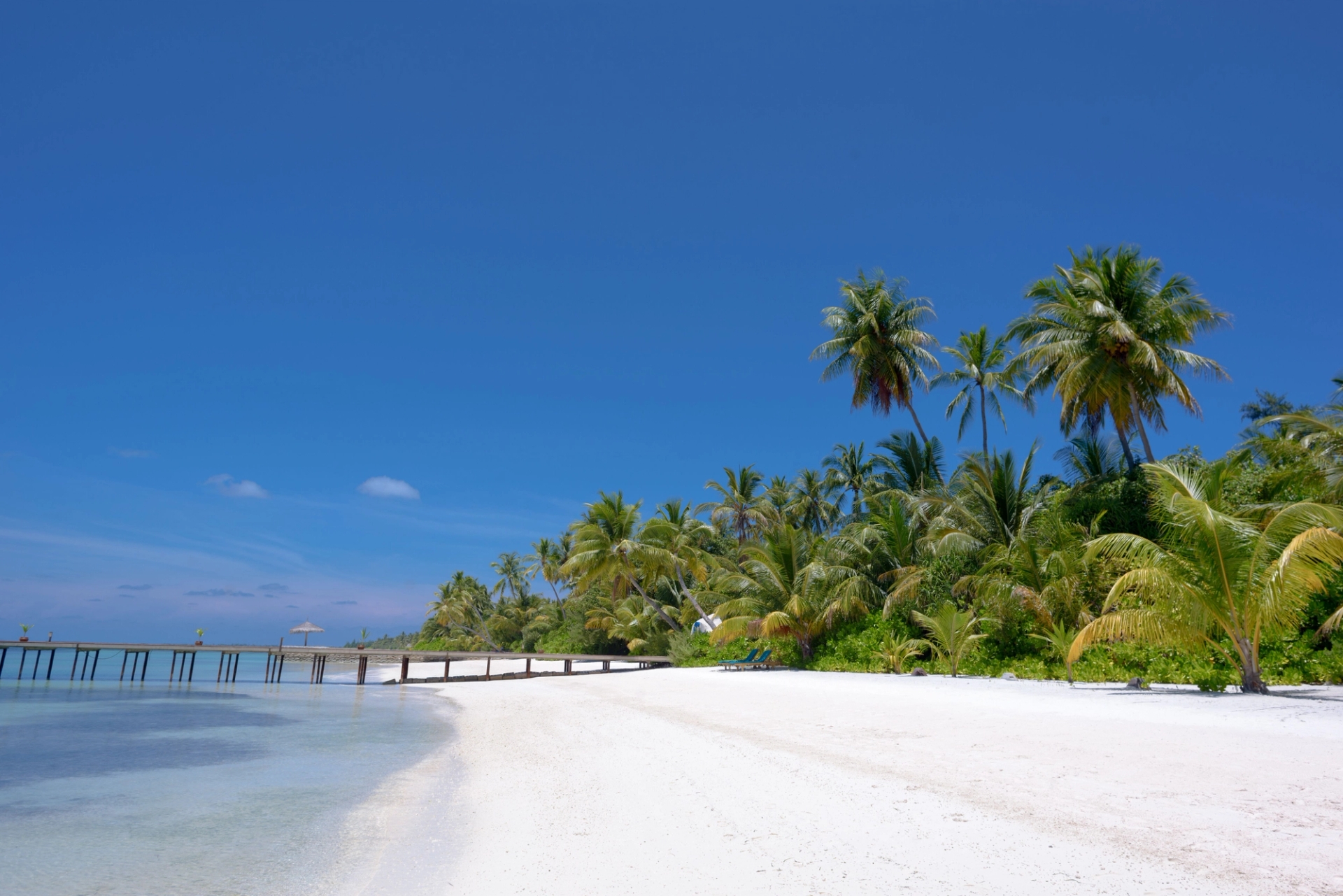 Serene white sandy beach with palm trees and clear blue ocean in the Maldives