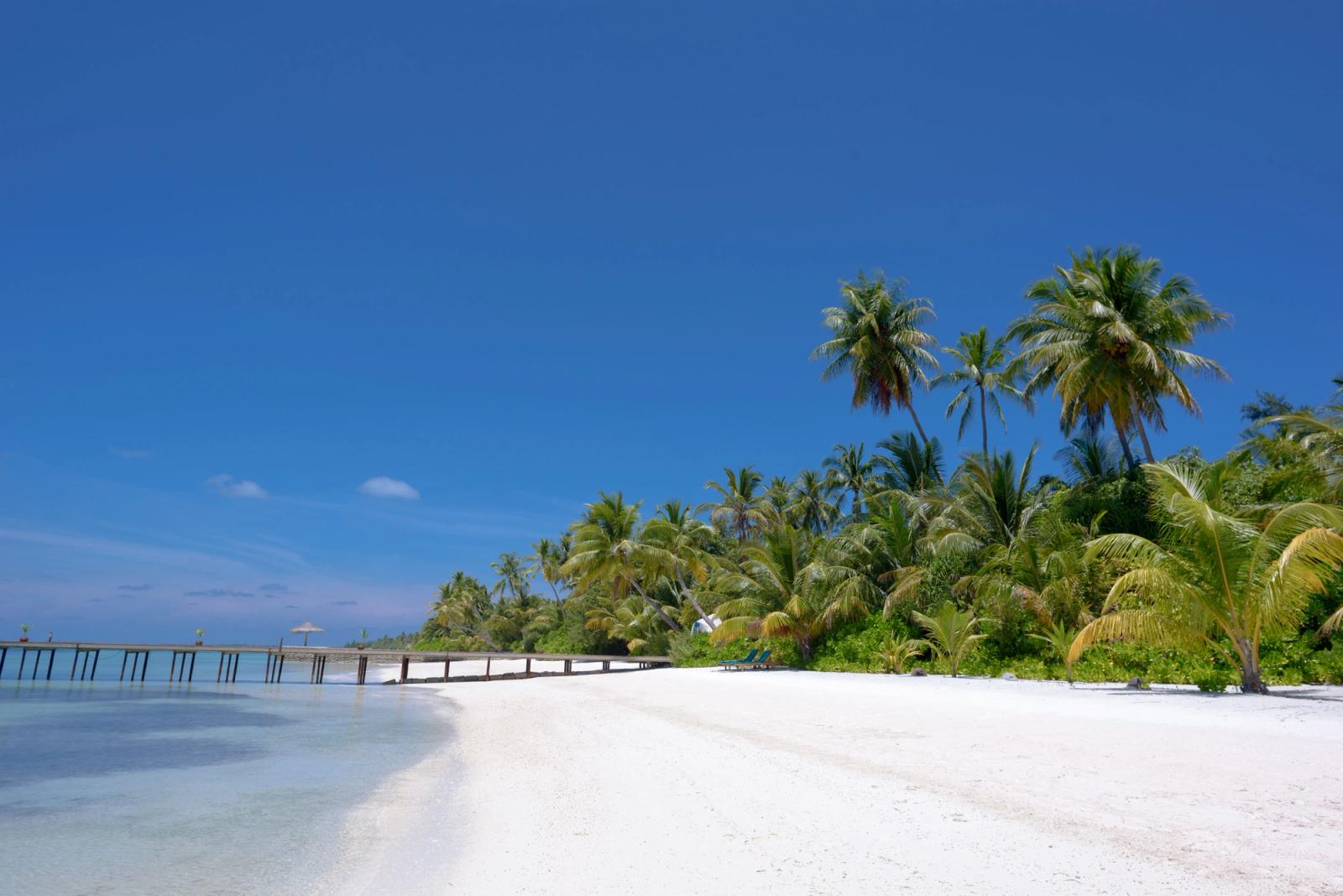 Serene white sandy beach with palm trees and clear blue ocean in the Maldives