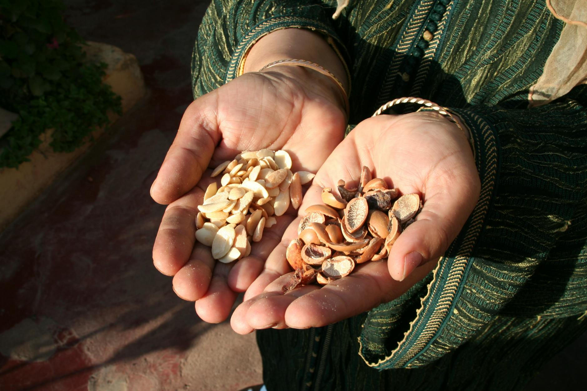 Traditional food of Morocco
