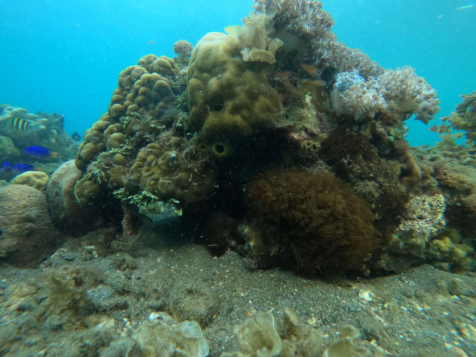 Reef stops — Kuta, Indonesia
