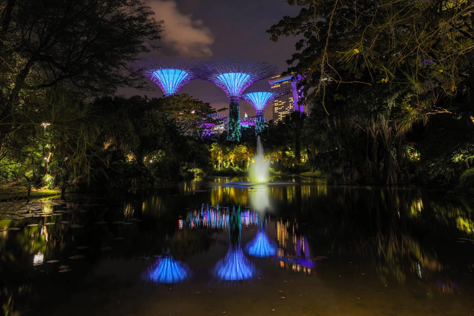 Stunning night view of Gardens by the Bay with Supertree Grove reflections in Singapore