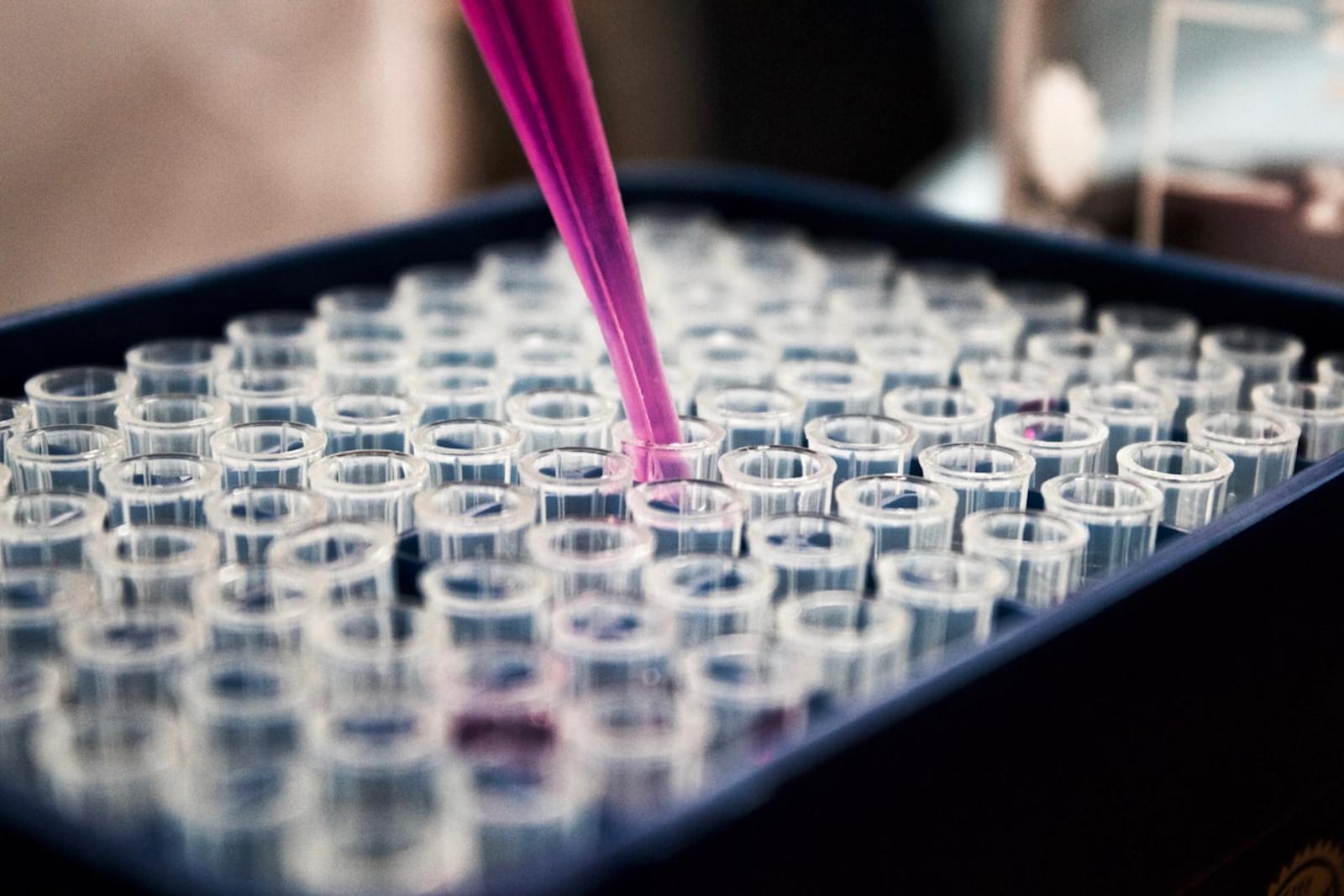 Biotech knowledge tours
