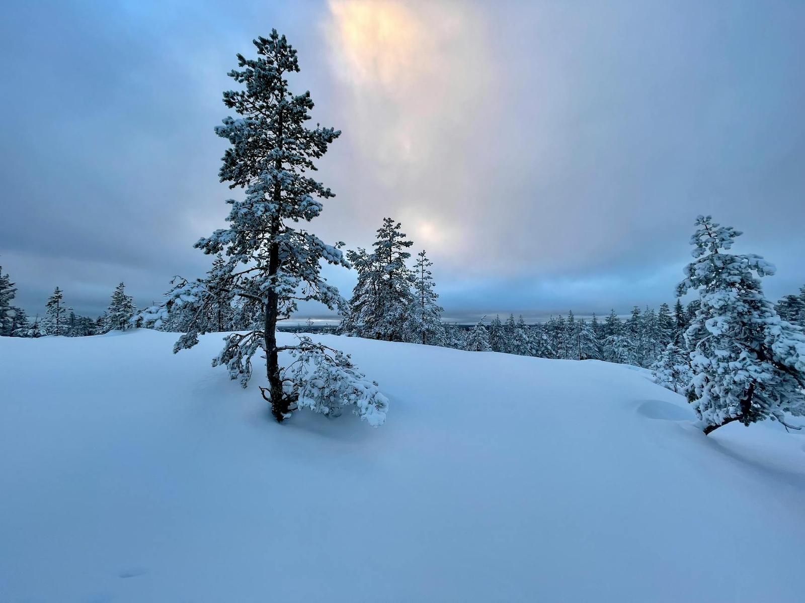 roof — Rovaniemi, Finland