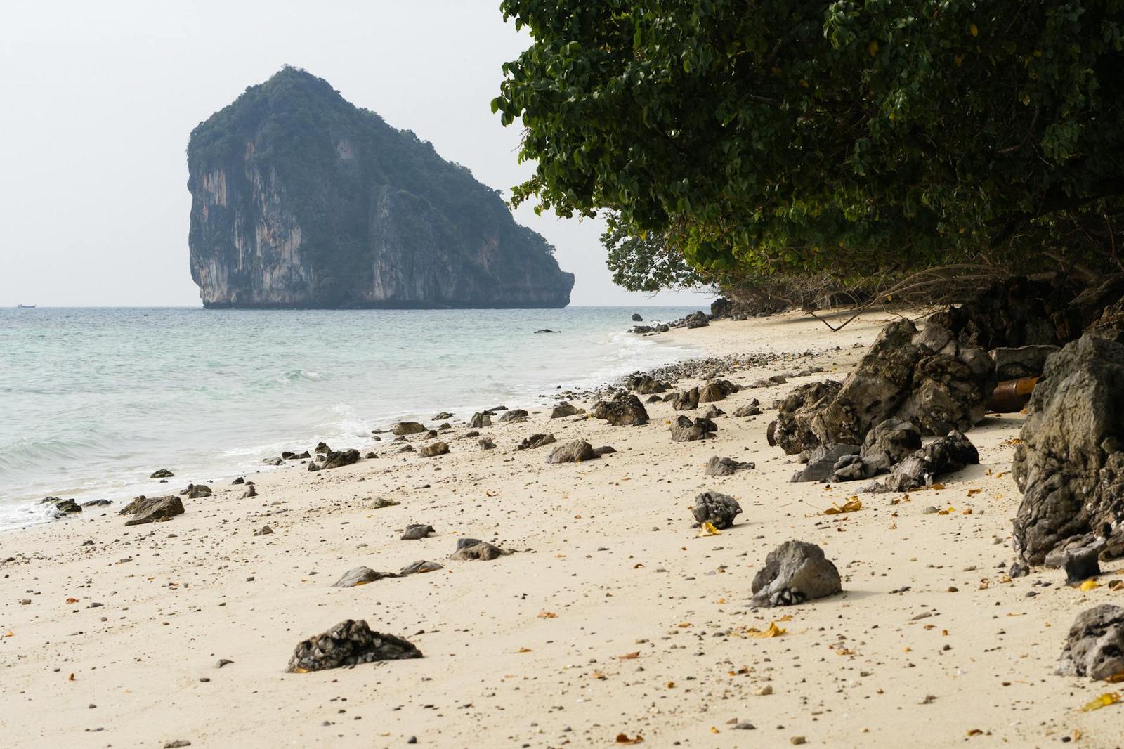 A rocky beach shaded by an overhanging tree facing a lone limestone island