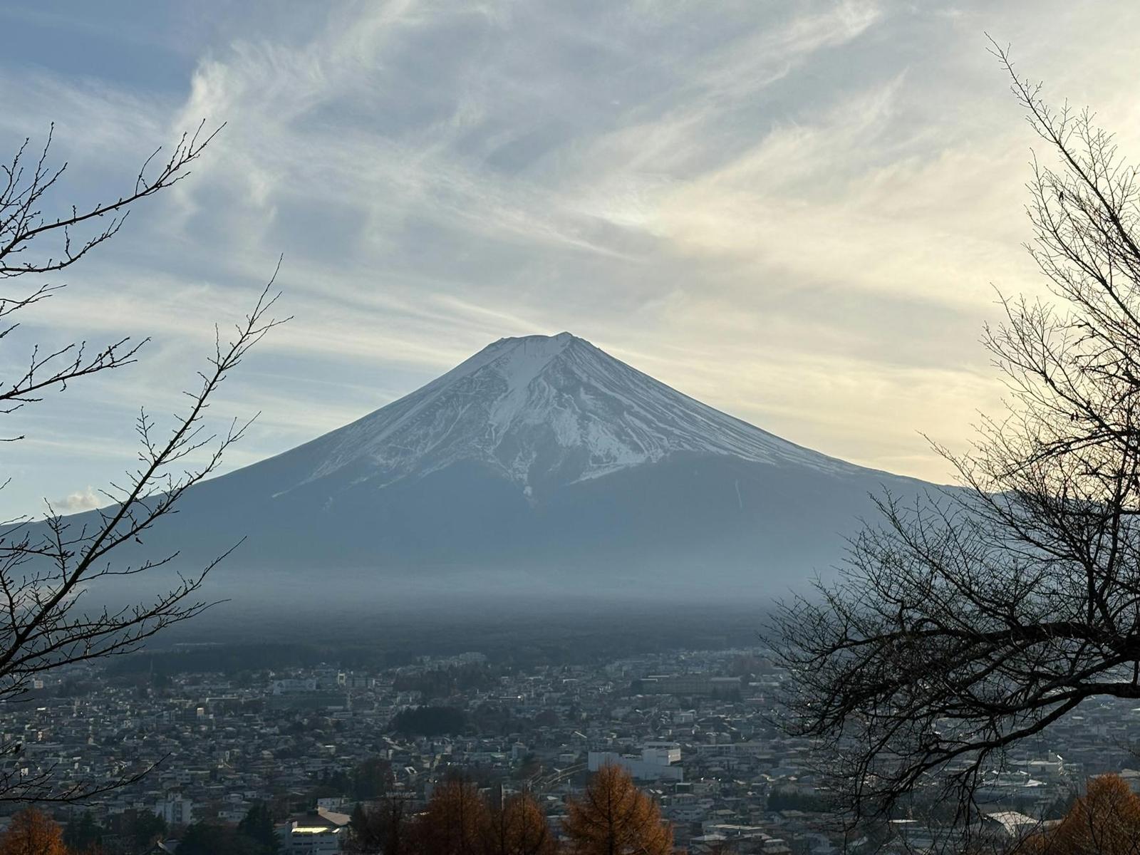 Mount Fuji's snow-capped peak rising above a hazy town, framed by bare branches