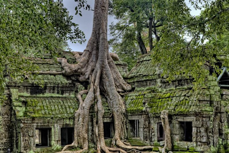 Banteay Srei Cambodia
