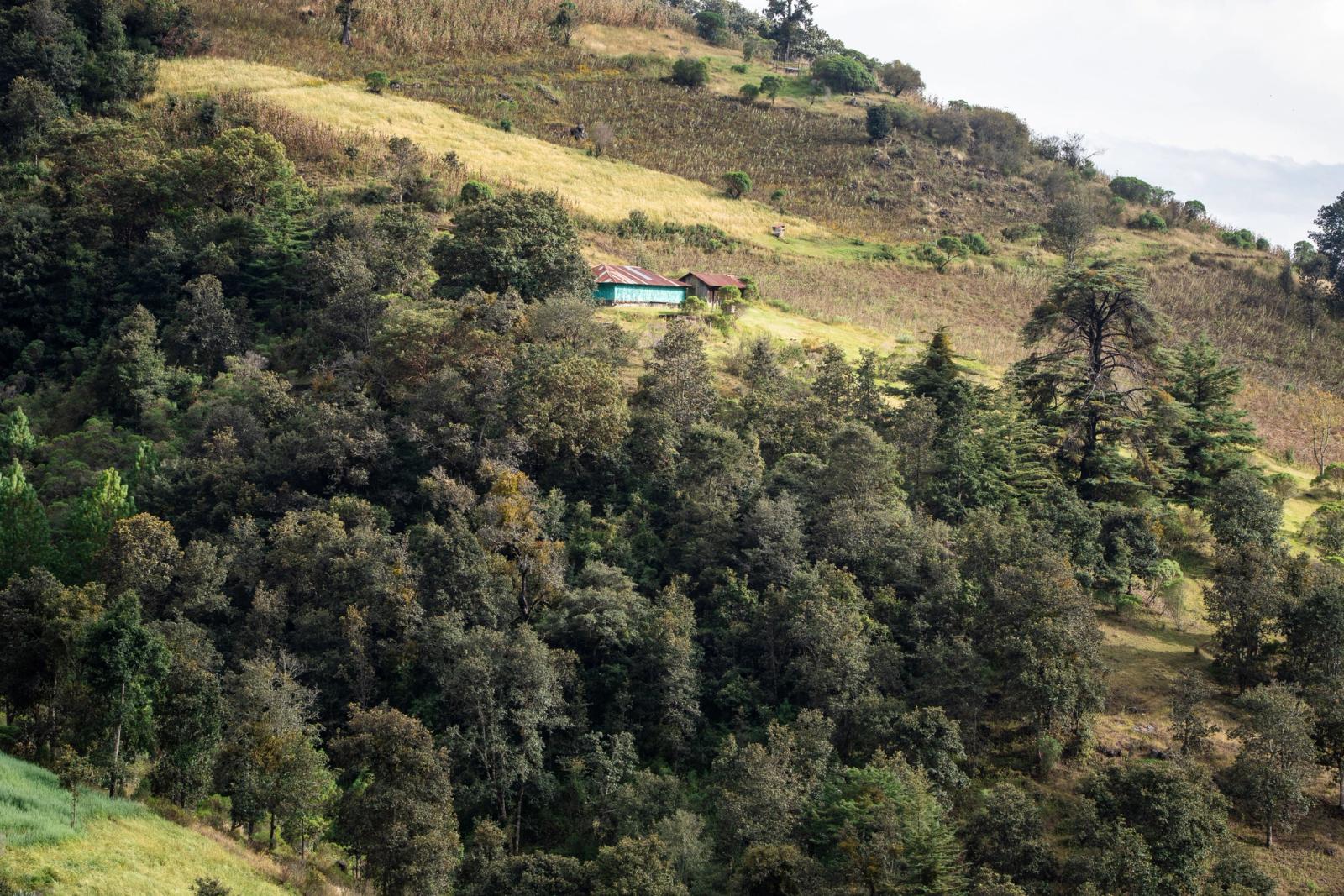 A picturesque hillside view with rural buildings amidst lush greenery in Chiantla, Guatemala
