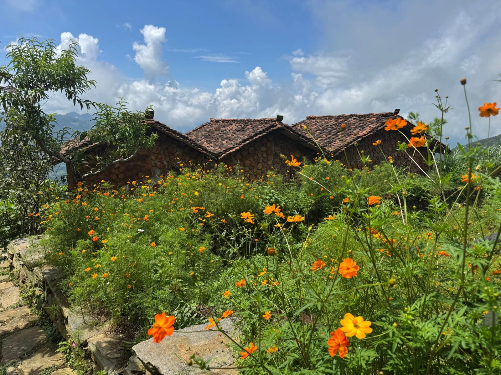 Punakha Residency, Punakha / Wangdue